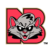 Download New Britain Rock Cats