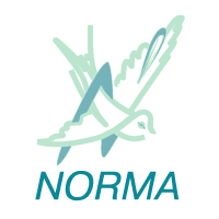 Download Norma