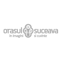 OrasulSuceava.ro