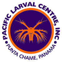 PACIFIC LARVAL