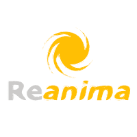Reanima Asistencia Informatica