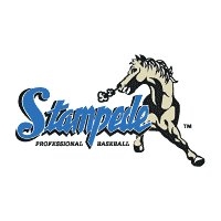 San Bernardino Stampede