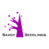Savoy Seedlings
