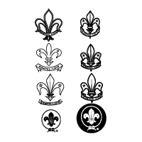 Scouts Mexico
