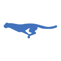 Descargar Shanghai Shenhua FC