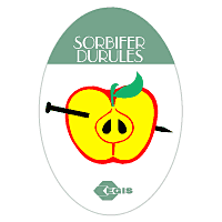 Sorbifer Durules