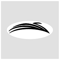 Swan