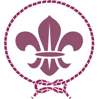 scouts