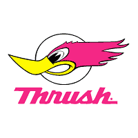 Download Thrush