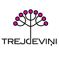 Trejdevini Ltd.
